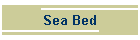 Sea Bed